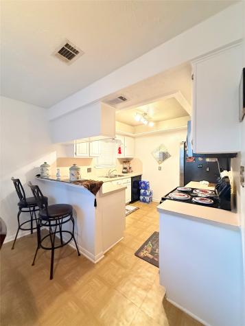 1303 Sterling Green Court Houston TX 77015