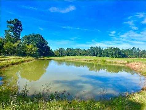 12419 Private Road 1390 Centerville TX 75833