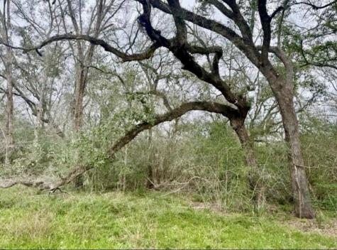 327 County Road 735 Angleton TX 77515