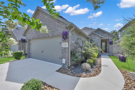 17161 Upland Bent Court Conroe TX 77385