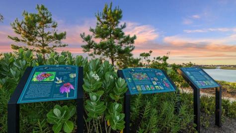 20728 Central Concave Drive New Caney TX 77357