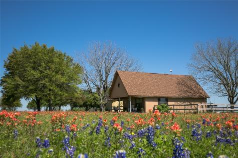 4452 Boggy Creek Road Brenham TX 77833