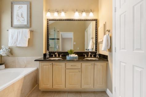 15 Paddock Pines Place The Woodlands TX 77382