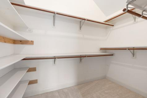 15 Paddock Pines Place The Woodlands TX 77382