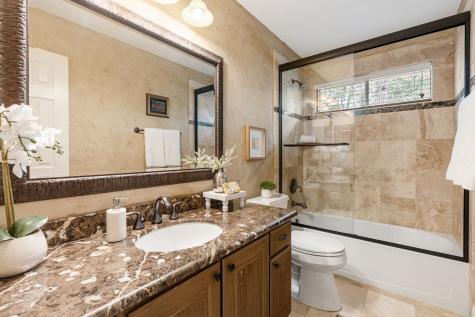 15 Paddock Pines Place The Woodlands TX 77382