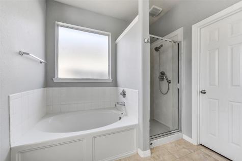 409 Abbey Lane League City TX 77573