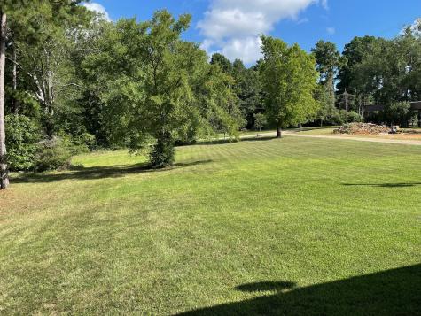 160 Lookout Point Drive Grapeland TX 75844
