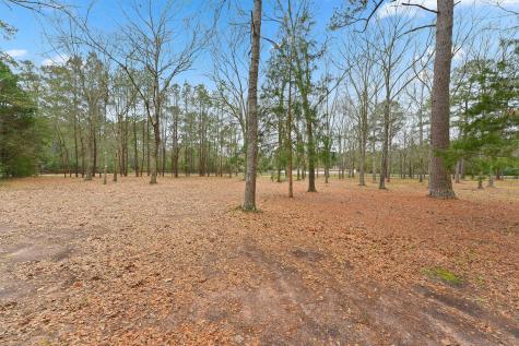 31926 Dobbin Huffsmith Road Magnolia TX 77354