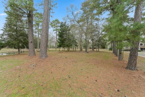 31926 Dobbin Huffsmith Road Magnolia TX 77354