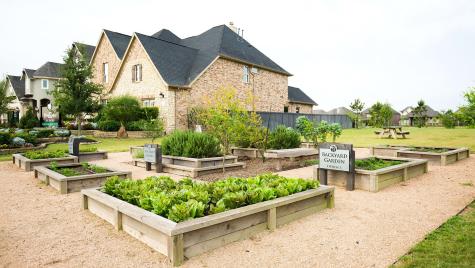 218 Grapefruit Garden Drive Richmond TX 77406