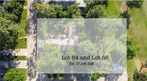 13103 Coral Ridge Court Houston TX 77069
