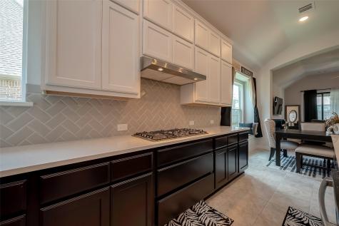 15714 Autumn Sun Court Conroe TX 77302