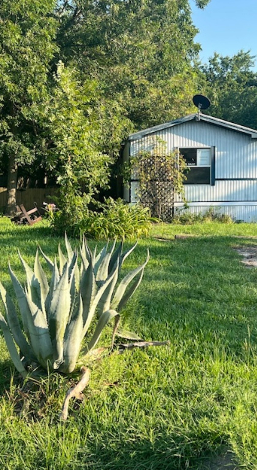 13226 Hilltop Court Willis TX 77318