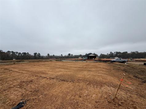 12002 Curlin Drive Willis TX 77318