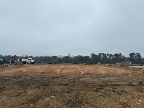 12002 Curlin Drive Willis TX 77318