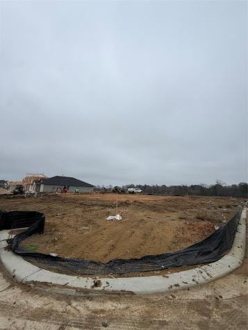 12002 Curlin Drive Willis TX 77318