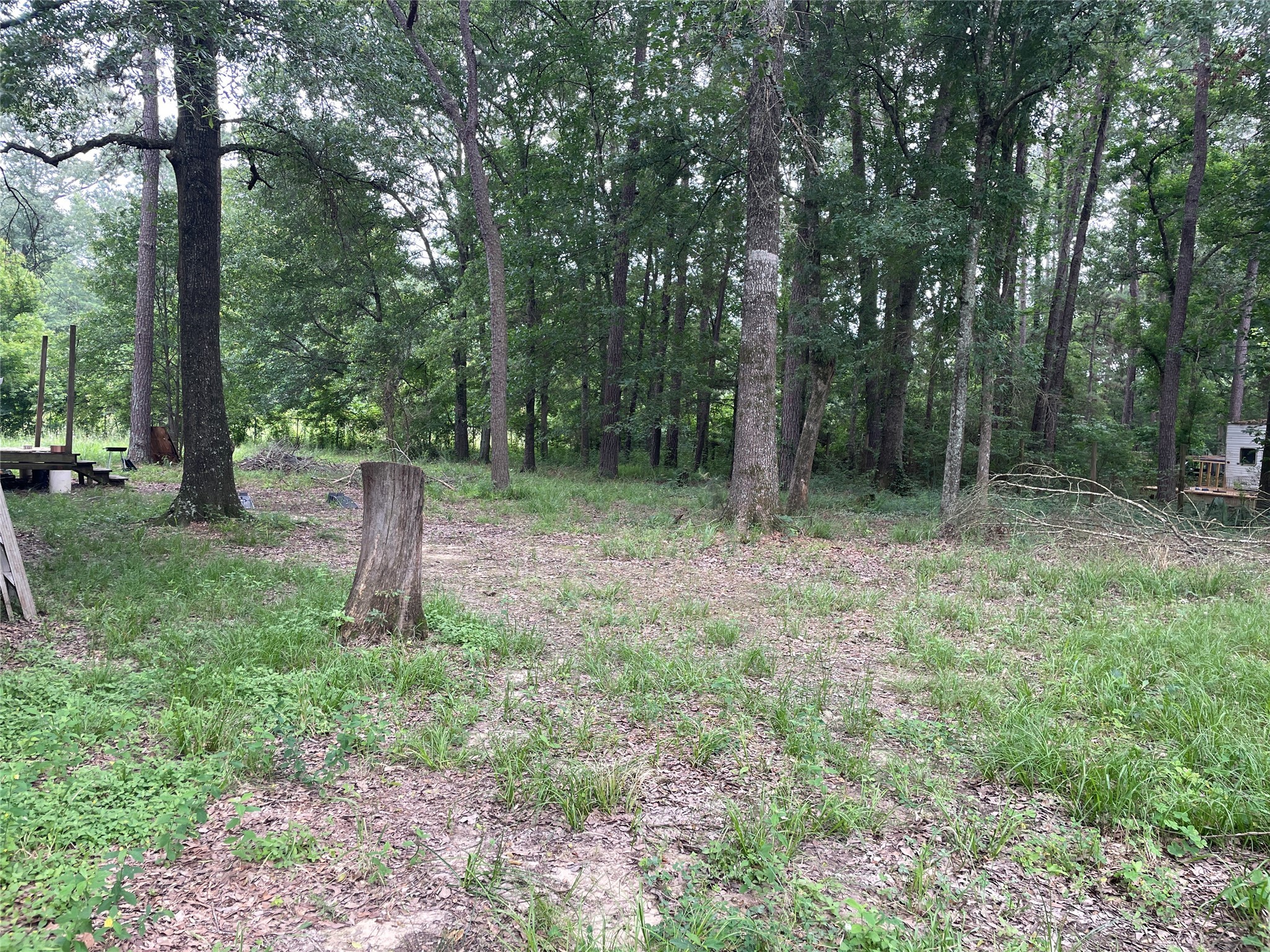 15663 Country West Drive Conroe TX 77302