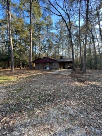 329 Blue Willow Drive Village Mills TX 77663