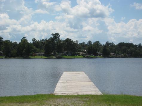 329 Blue Willow Drive Village Mills TX 77663