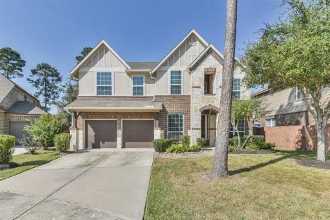 17113 Numid Lake Court Houston TX 77044