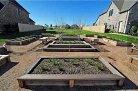 2615 Texas Orange Trail Richmond TX 77406