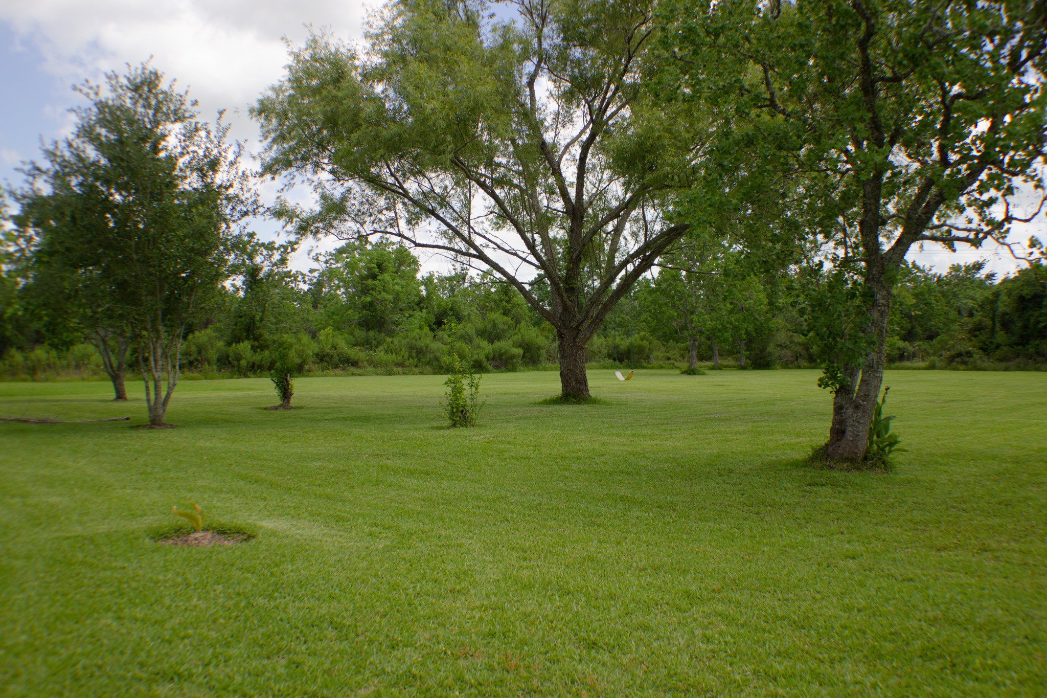 2603 Virginia Avenue League City TX 77573