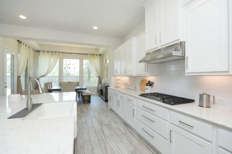 10134 Blythe Street Rosharon TX 77583