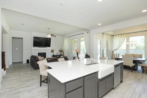 10134 Blythe Street Rosharon TX 77583
