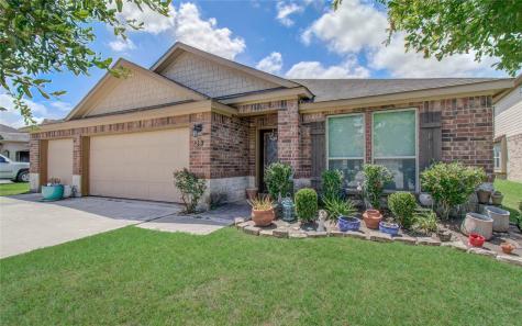 29 Indian Palms Drive Manvel TX 77578