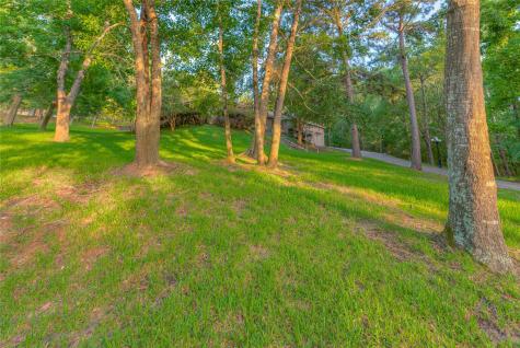 156 Magnolia Bend Drive Livingston TX 77351