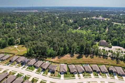 954 Golden Willow Lane Conroe TX 77304