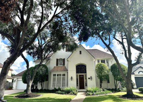 17 Harbor View Drive Sugar Land TX 77479