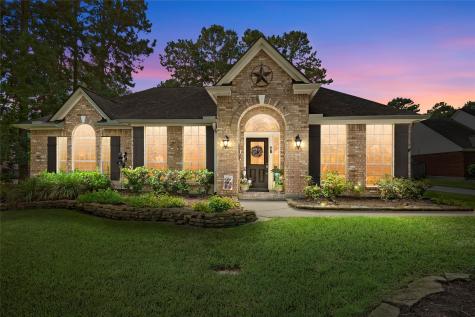 12507 Colt Court Magnolia TX 77354