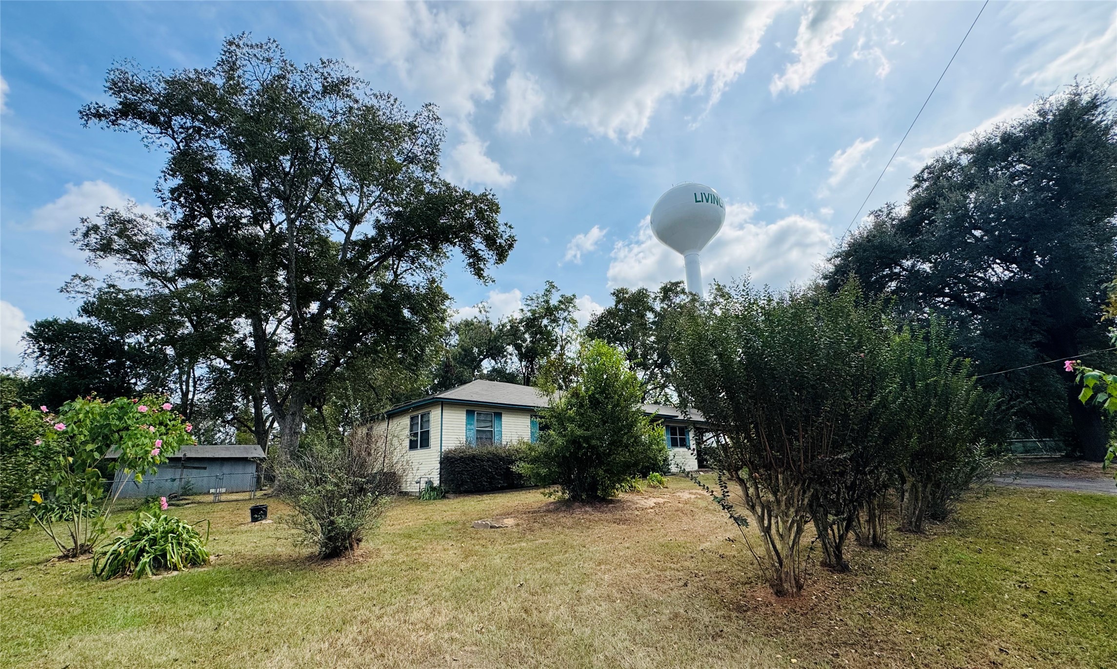 205 Elizabeth Street Livingston TX 77351