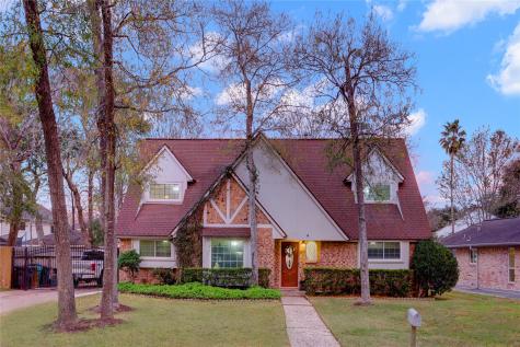 4111 Clovernook Lane Seabrook TX 77586