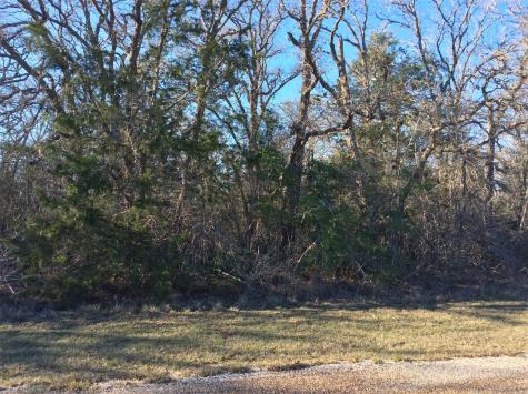 320 Alvina Ulich Street Somerville TX 77879