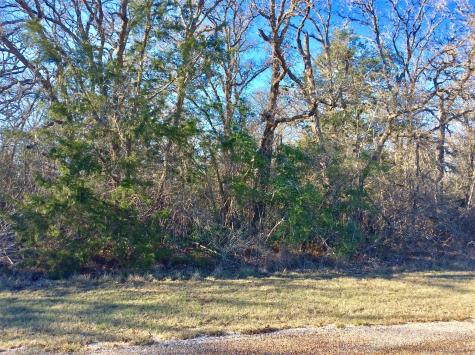 320 Alvina Ulich Street Somerville TX 77879