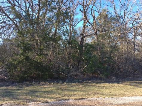 320 Alvina Ulich Street Somerville TX 77879