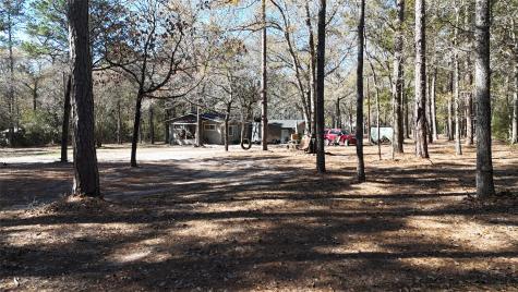 16044 Yaupon Berry Plantersville TX 77363