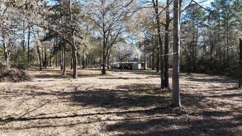 16044 Yaupon Berry Plantersville TX 77363
