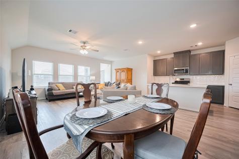 19738 Chianti Point Drive Hockley TX 77447