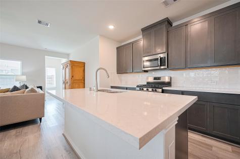 19738 Chianti Point Drive Hockley TX 77447