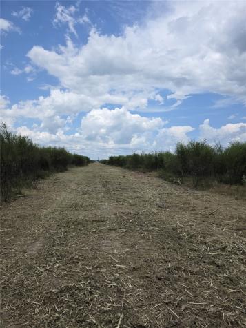 36847 Richard Frey 2-2 Road 2 Hempstead TX 77445