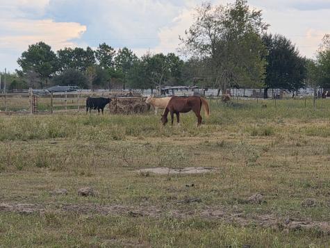 36847 Richard Frey 2-2 Road 2 Hempstead TX 77445