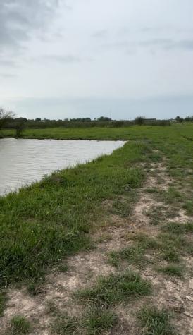 36847 Richard Frey 2-2 Road 2 Hempstead TX 77445