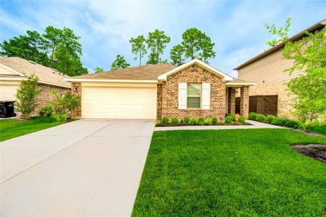 21577 Starry Night Drive New Caney TX 77357