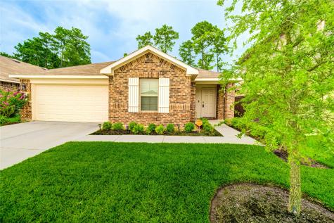 21577 Starry Night Drive New Caney TX 77357