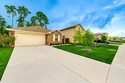 21577 Starry Night Drive New Caney TX 77357