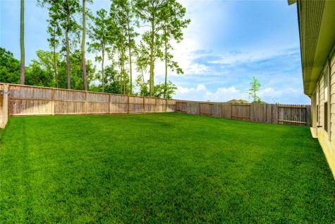21577 Starry Night Drive New Caney TX 77357