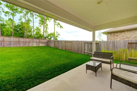 21577 Starry Night Drive New Caney TX 77357